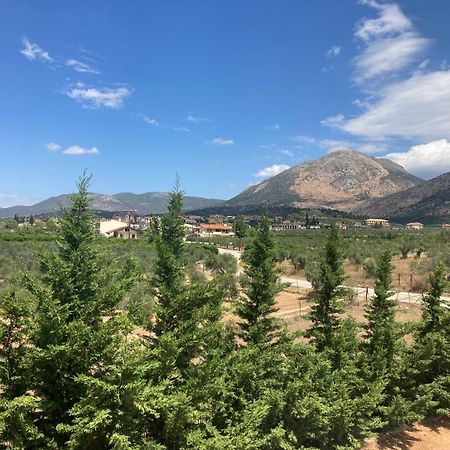 Enchanting Mycenae - Your Greek Holiday Retreat Argos Buitenkant foto