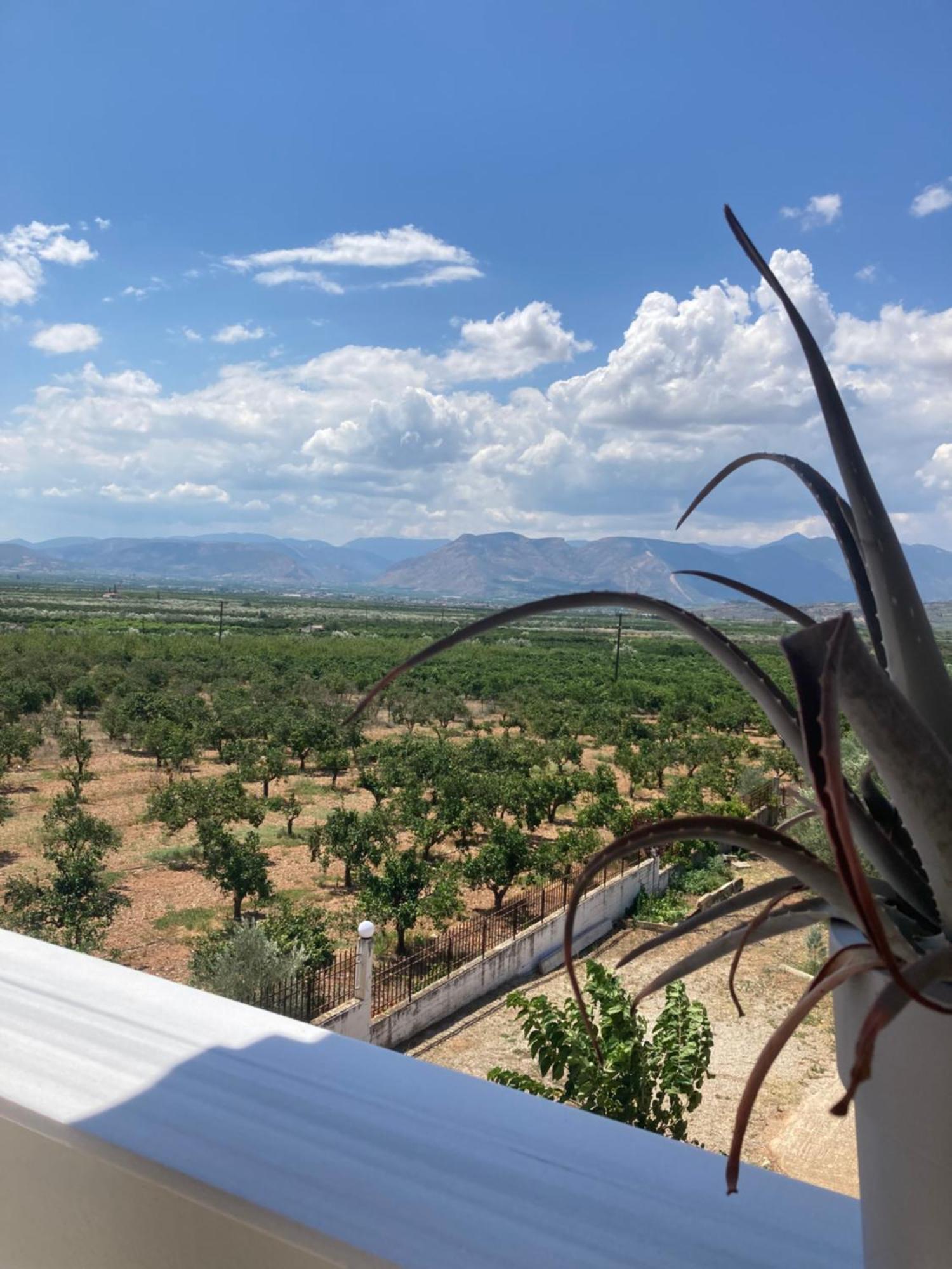 Enchanting Mycenae - Your Greek Holiday Retreat Argos Buitenkant foto