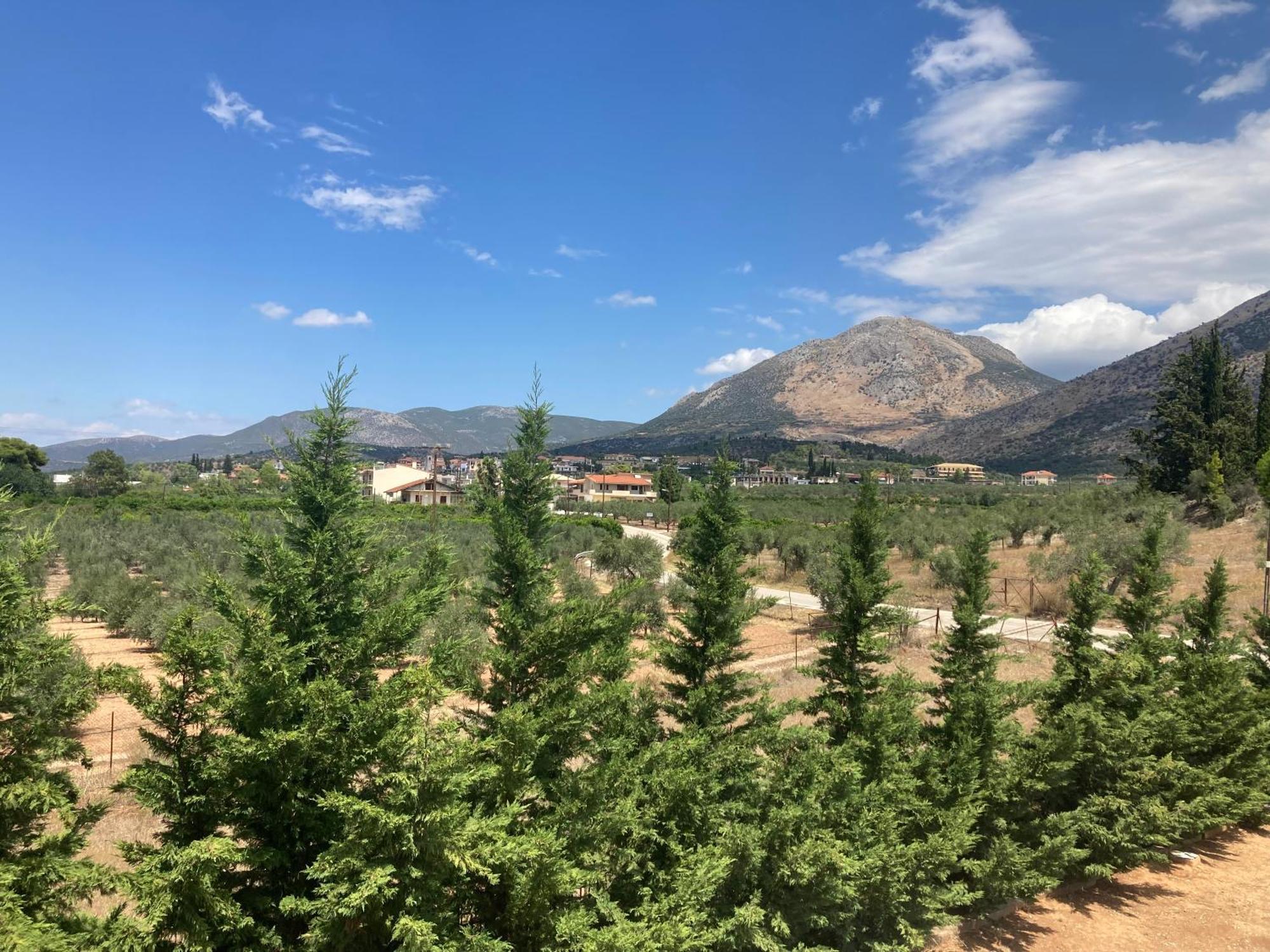 Enchanting Mycenae - Your Greek Holiday Retreat Argos Buitenkant foto